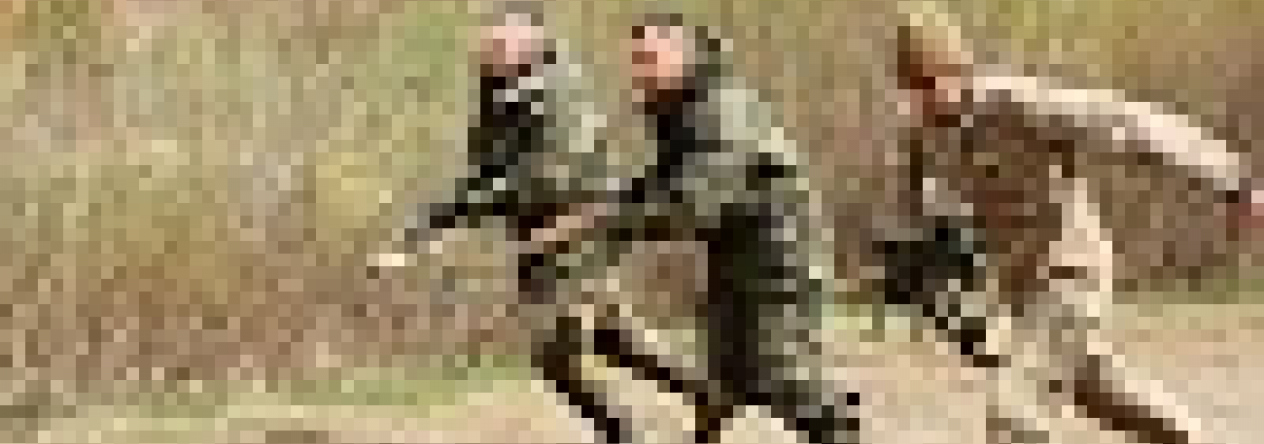 16_01.jpg