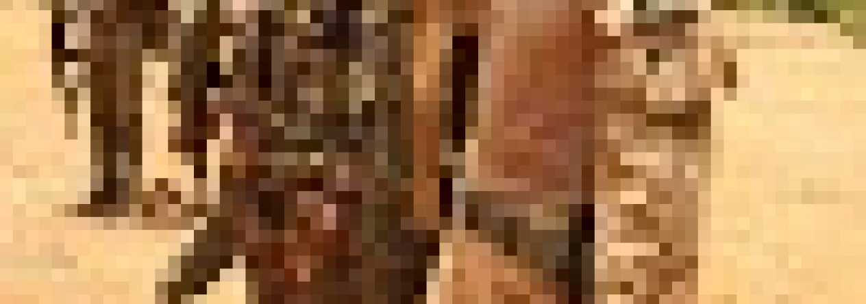 17_01.jpg