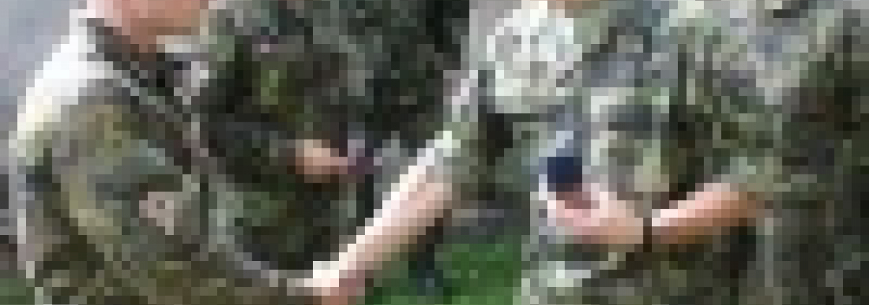 49_01.jpg