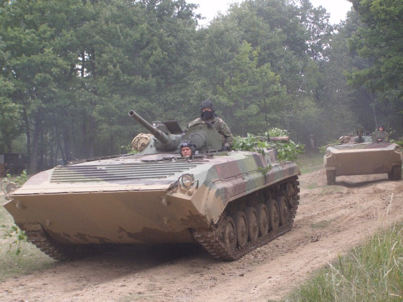 slovak_shield_10.jpg