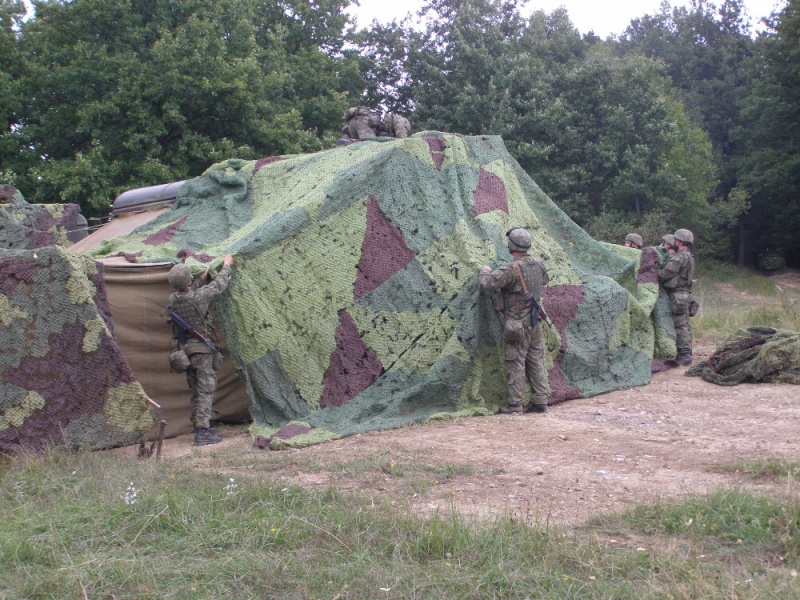 slovak_shield_11.jpg