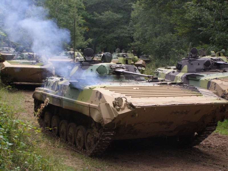 slovak_shield_13.jpg
