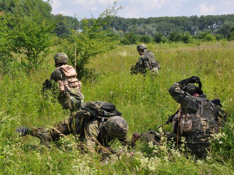 vycvik_bojovych_drilu_5._sr_baf_uu_acr_rs_07.jpg
