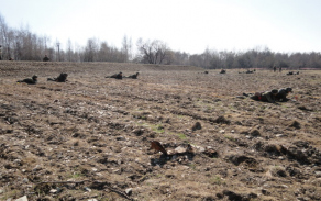 09_kpv_vr_120504_03.jpg