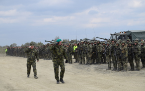 czech_lizard_011.jpg