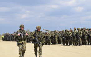 czech_lizard_041.jpg