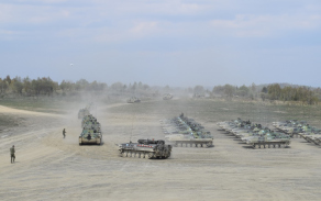 czech_lizard_113.jpg