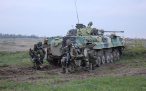 czelizz_2019_214.jpg