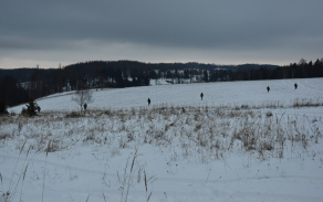 fot_0613.jpg